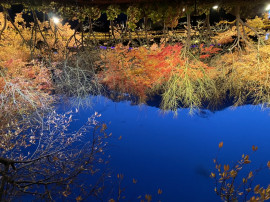 あいすちゃんの2021/5/12 (水) 19:18のブログ