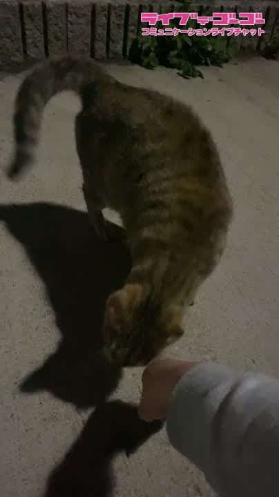 ?