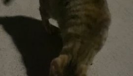 みなちゃんの2021/5/13 (木) 08:36のブログ