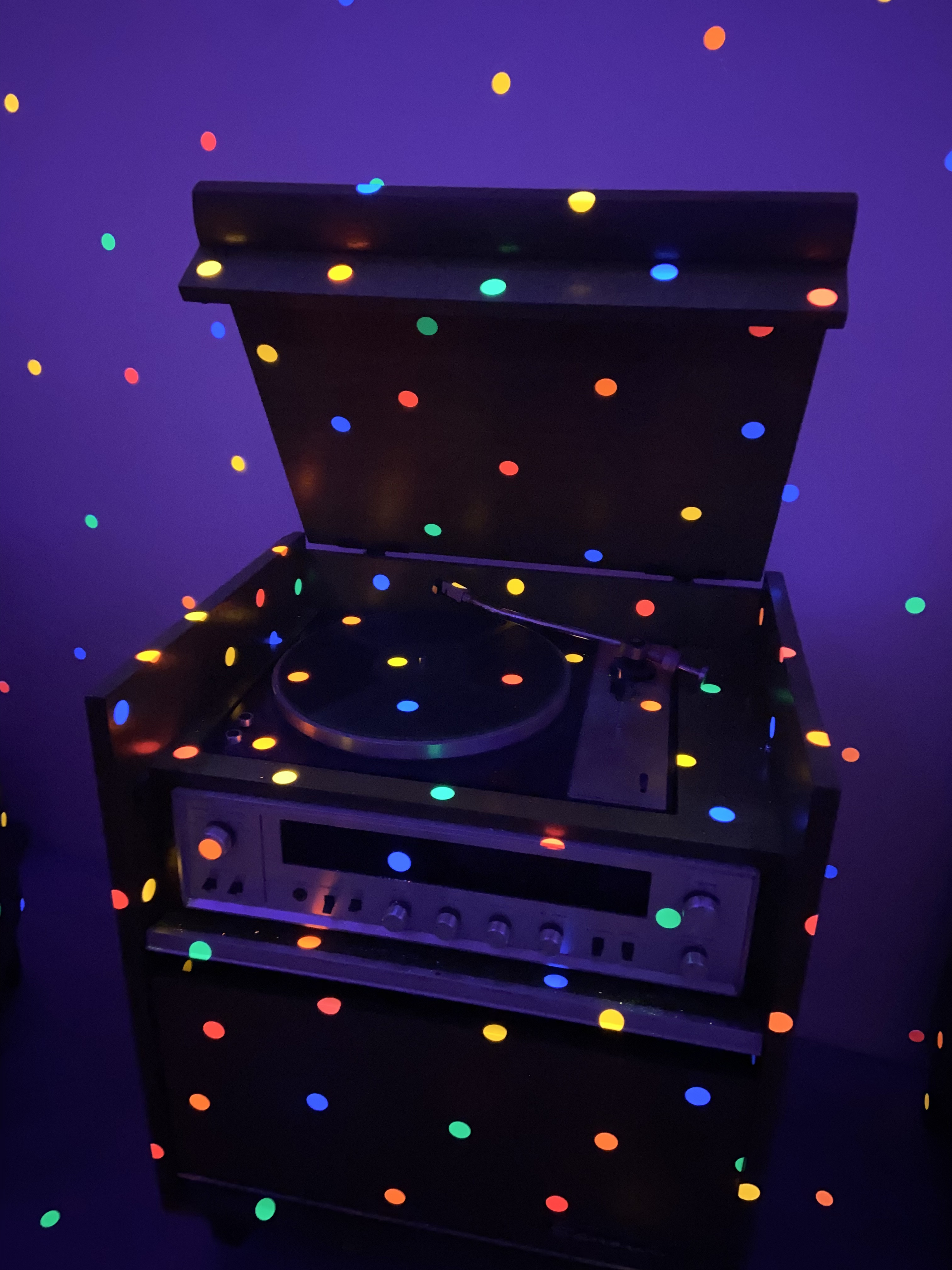 何の写真でしょうか！