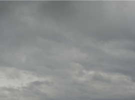 みーちゃんの2021/6/16 (水) 09:23のブログ