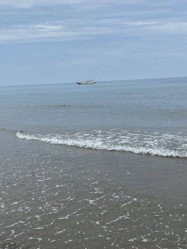 みーちゃんの2021/6/21 (月) 16:31のブログ