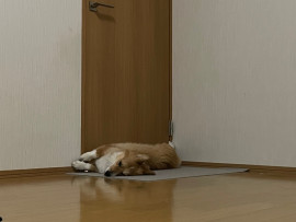 封鎖しました！！