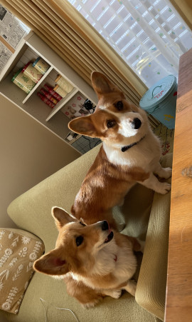 ちょっと我が子自慢