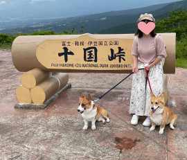 昨日出来かけて来ましたぁ♪