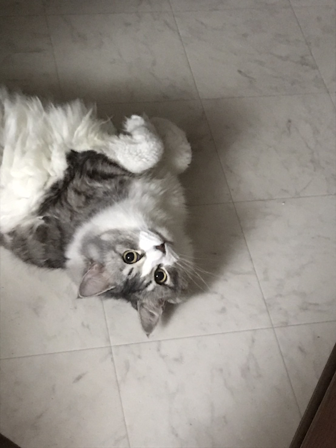 わー！笑