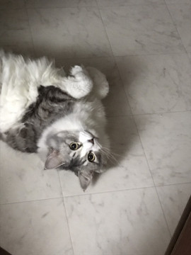 わー！笑