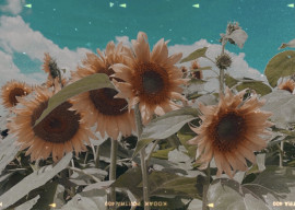 お盆休みなにしてますか〜っ？