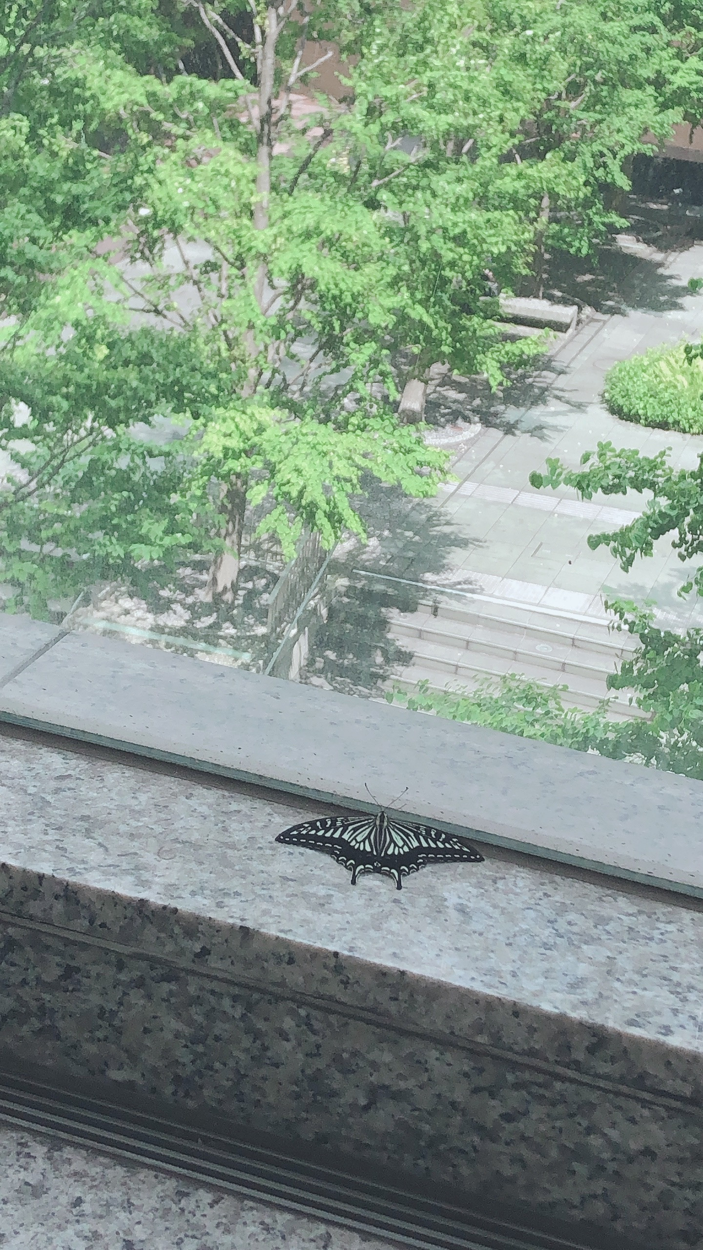 都会の真ん中に