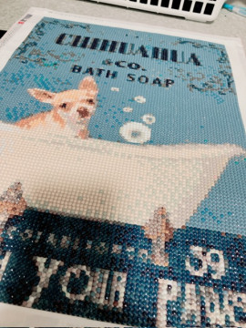 むらさきちゃんの11/29 (土) 20:59のブログ