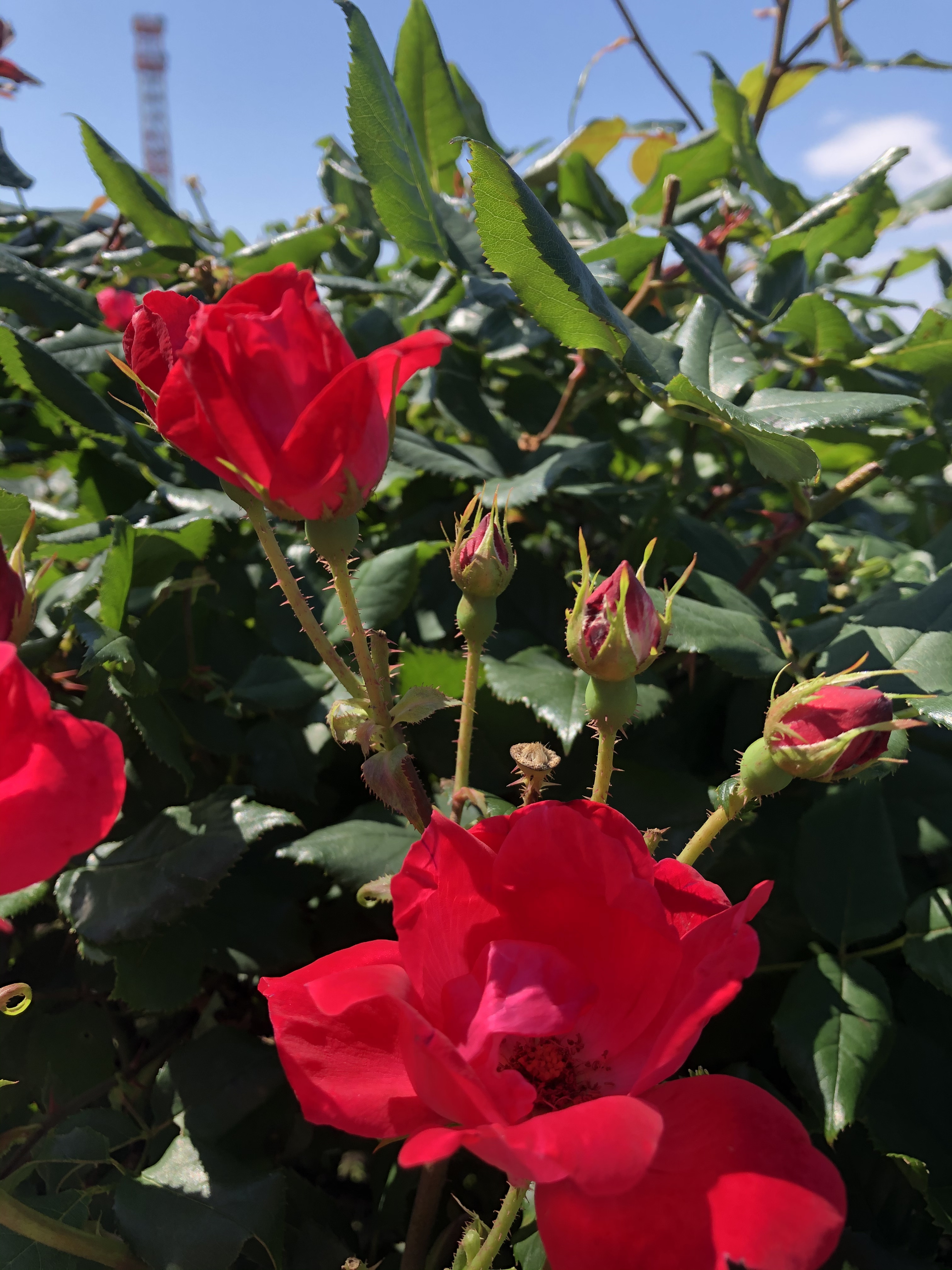 お気に入り登録ありがとう^ ^