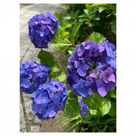 おはようございますっ！