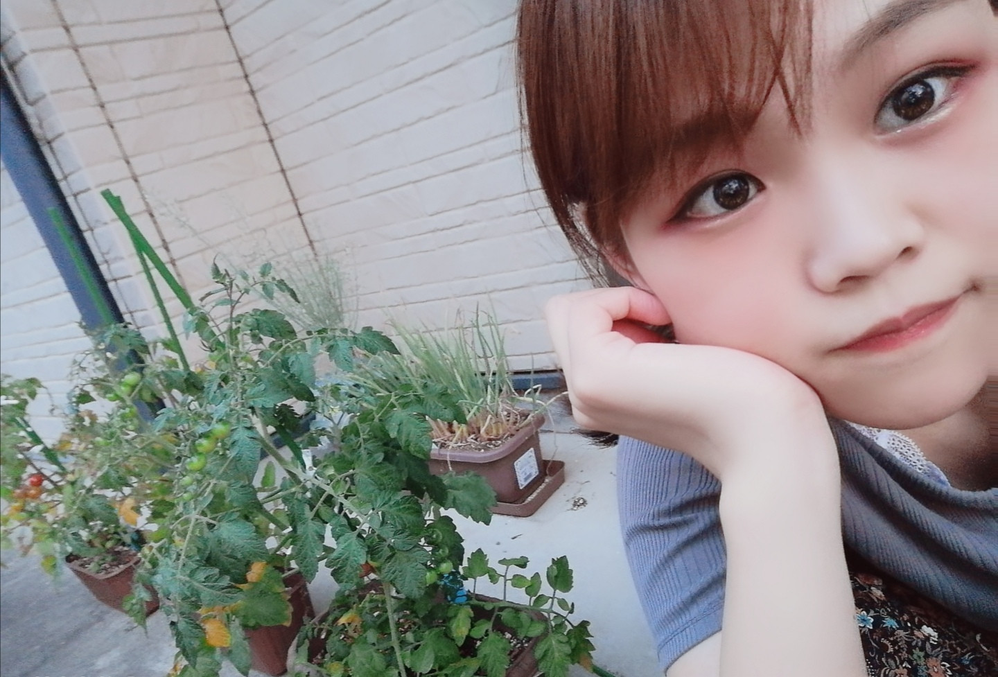 トマトちゃんっ♪