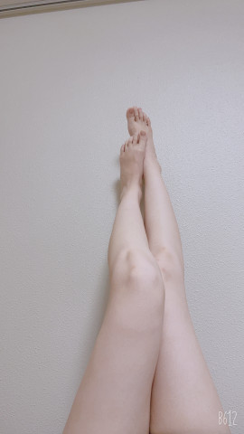 今日は…