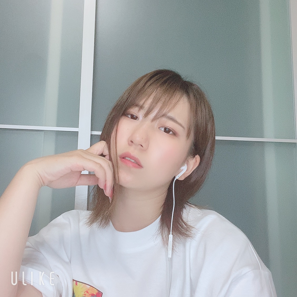 明日のお知らせ?