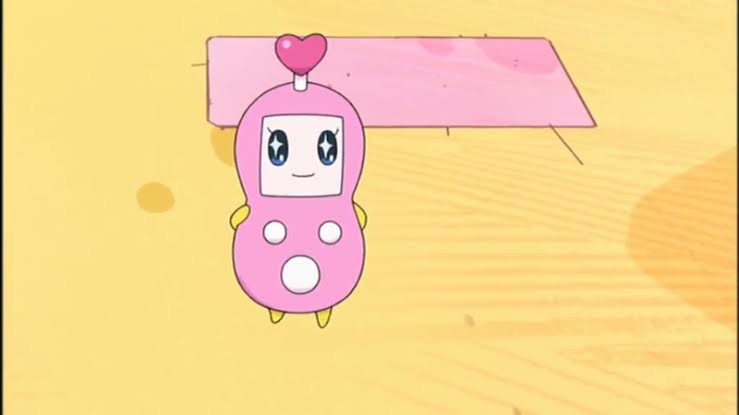 今後の配信について(’∀’*)