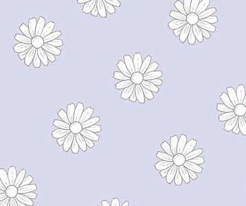 次回の配信予定♪