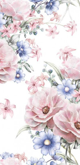 姫愛(ひな)ちゃんの2021/6/17 (木) 10:04のブログ