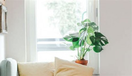 姫愛(ひな)ちゃんの2021/10/24 (日) 20:24のブログ