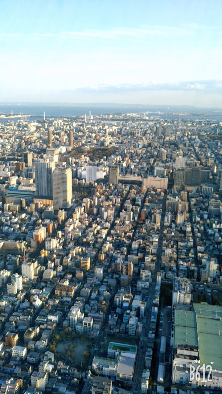 スカイツリー(^o^)