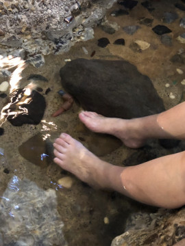 yuちゃんの2021/6/27 (日) 16:18のブログ