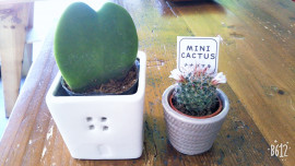 yuちゃんの2021/7/2 (金) 09:35のブログ