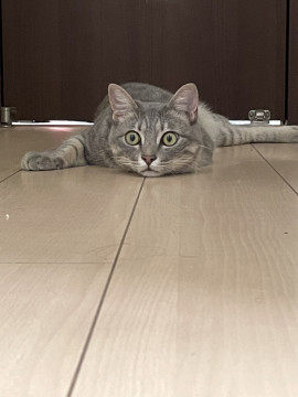バイト先スパルタすぎた