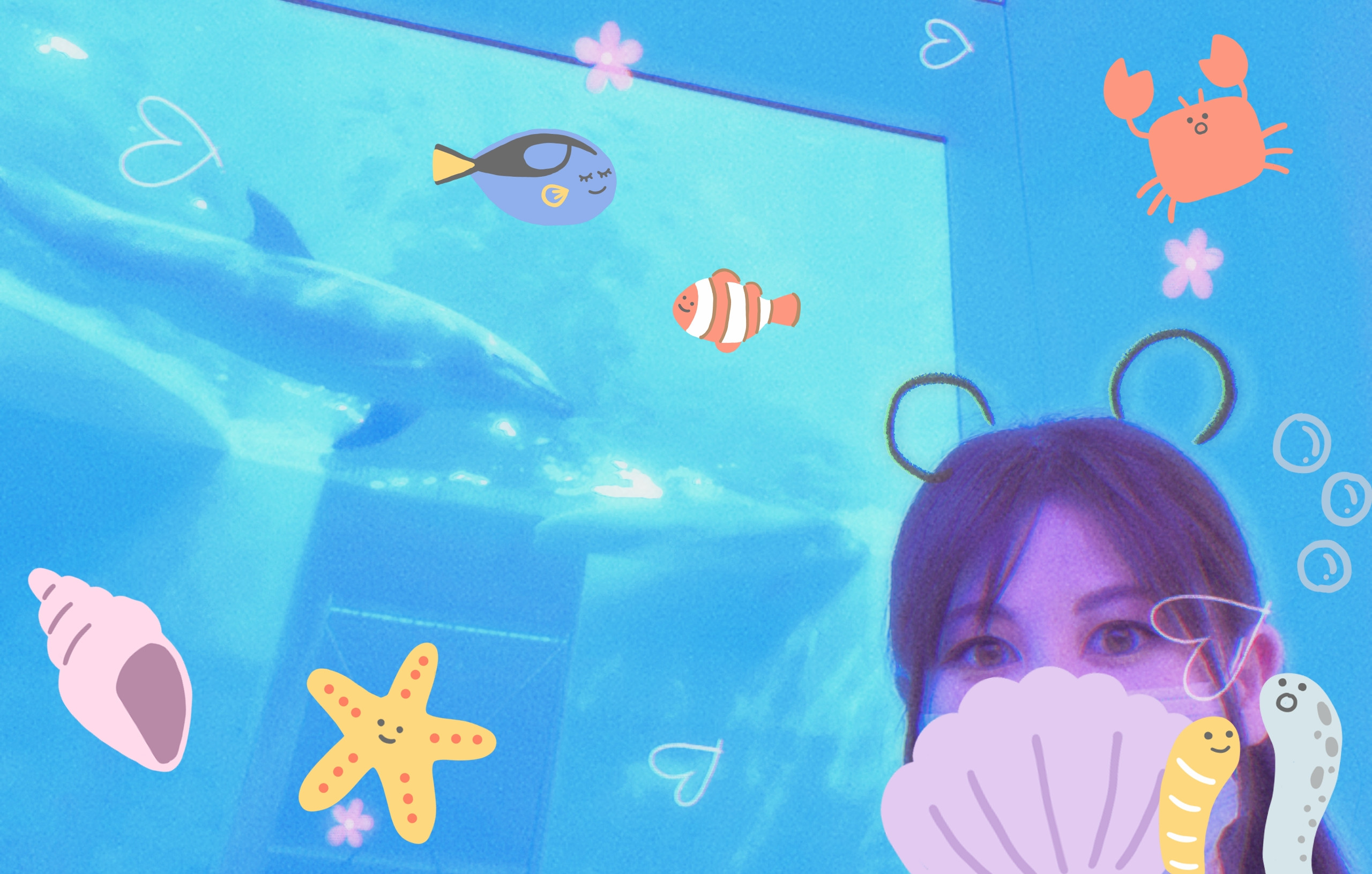 水族館！