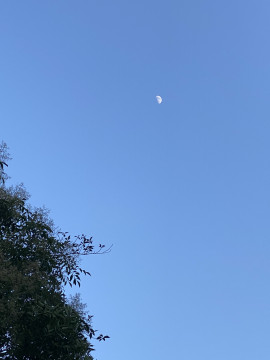 らんらん🧸ちゃんの2021/7/18 (日) 18:38のブログ