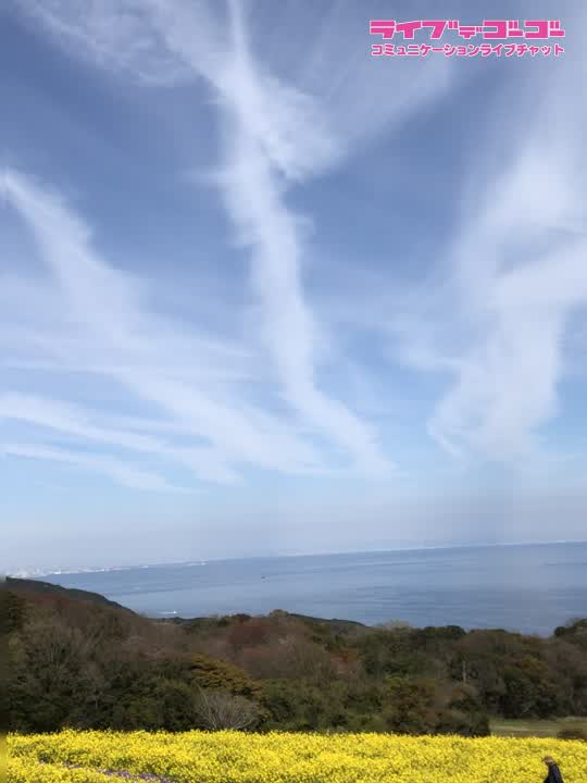 暑中お見舞い申し上げます☆