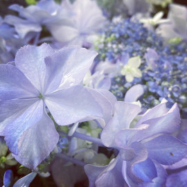 久々にお邪魔しました〜