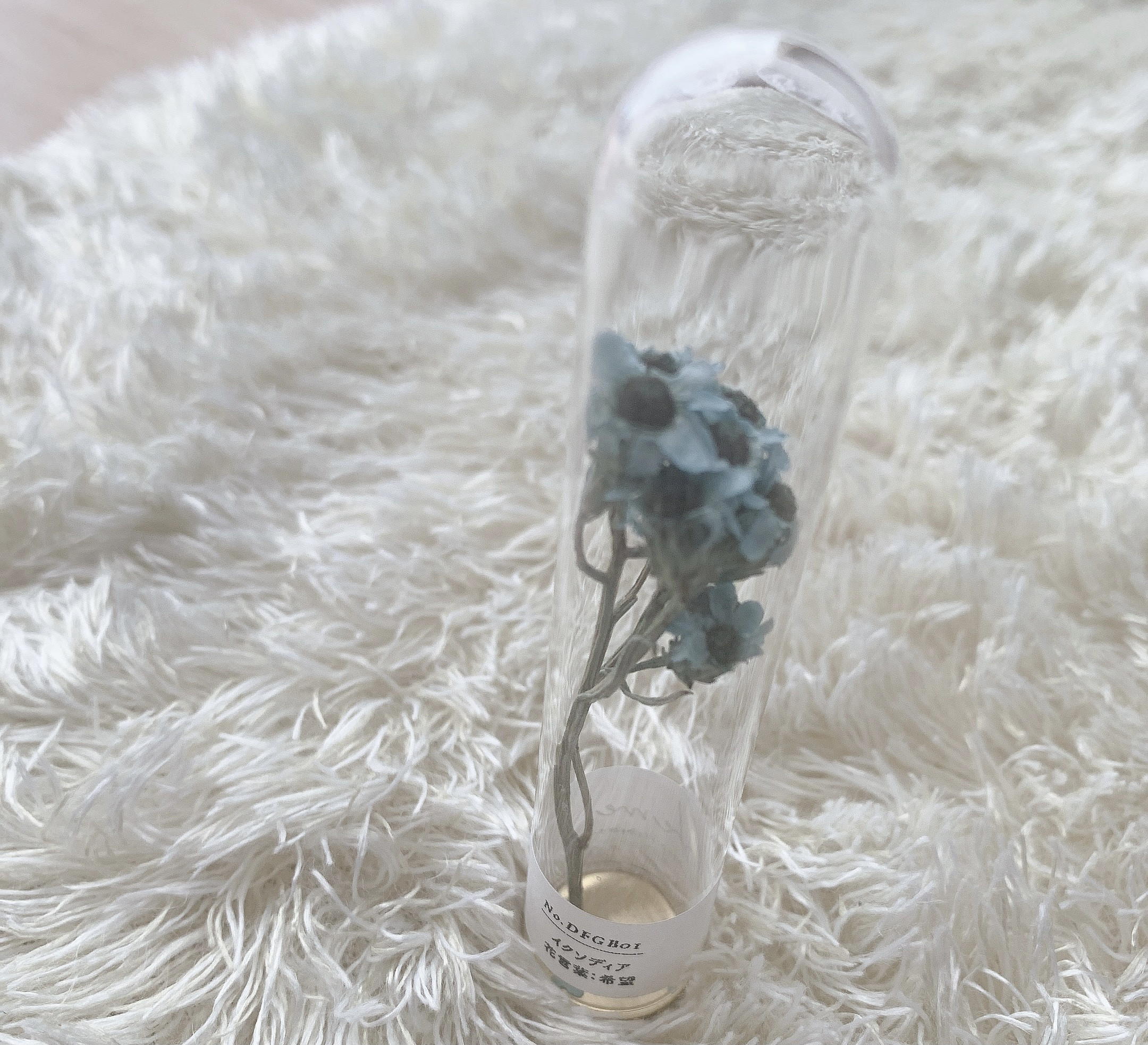 初めてのブログにいいねがついた！！