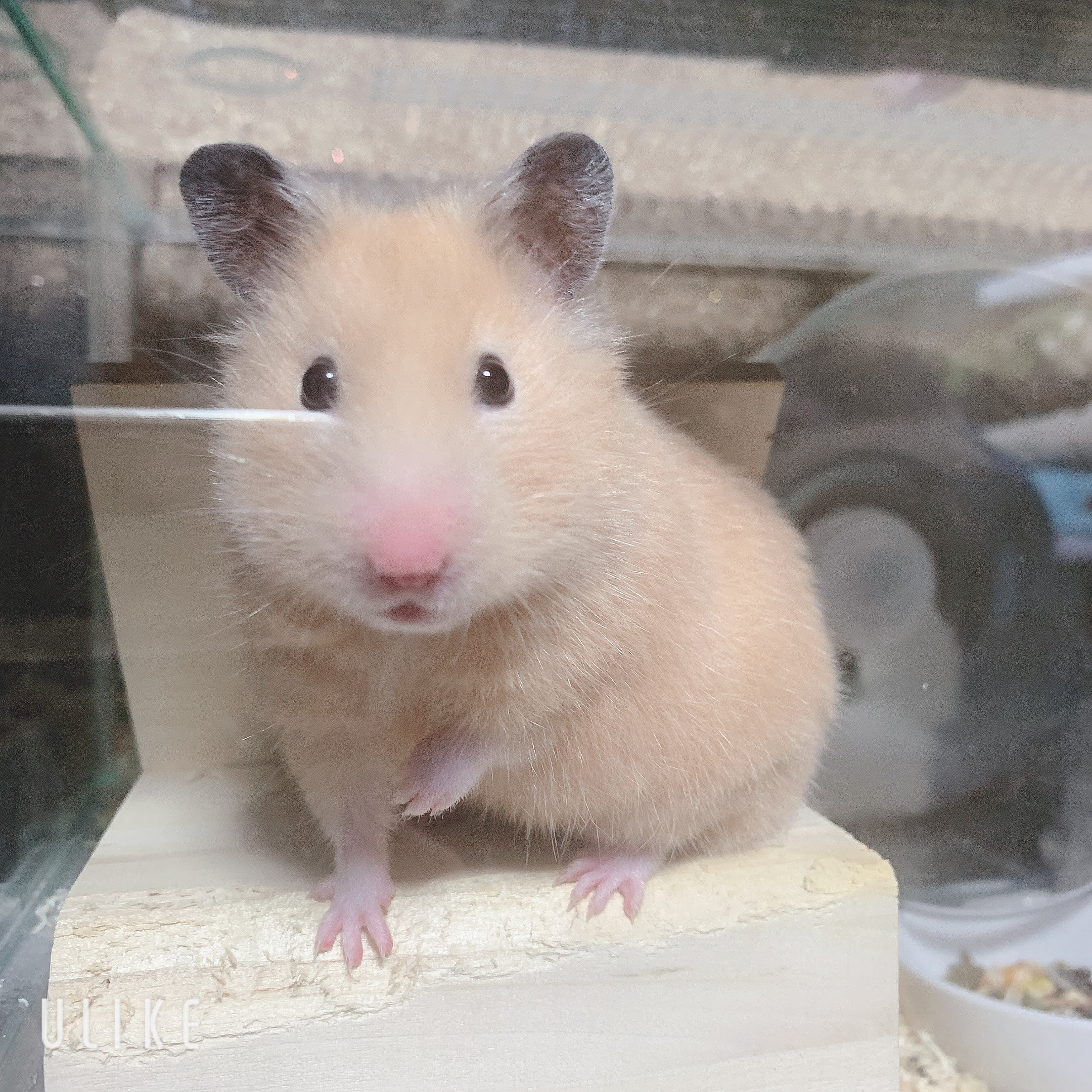 実家に遊びにいきました◎