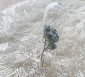 初めてのブログにいいねがついた！！