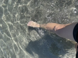 てぃーだかんかん