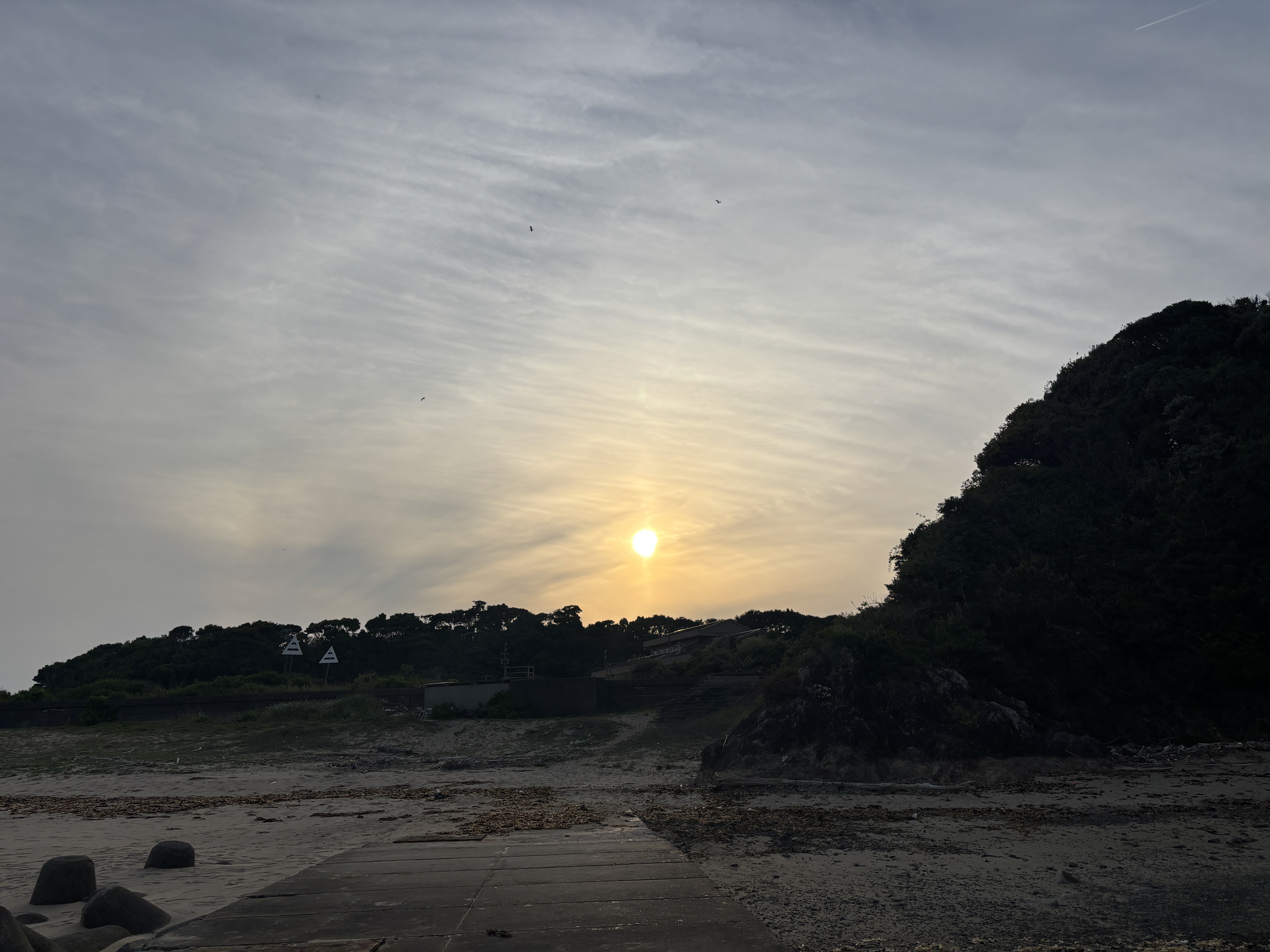 4年振りに帰ってきたよ〜