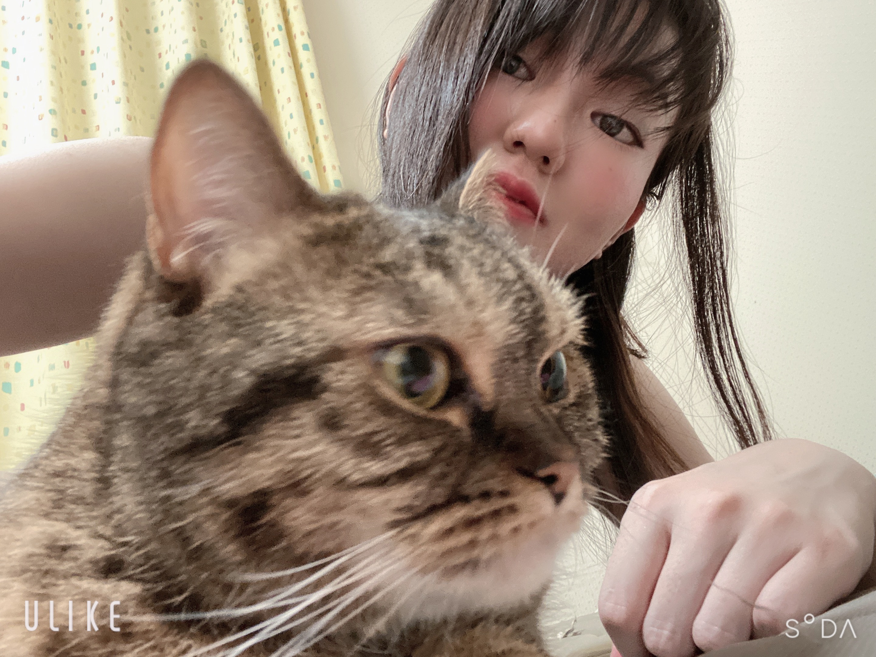 思ったより早く猫さん撮れたので連投です