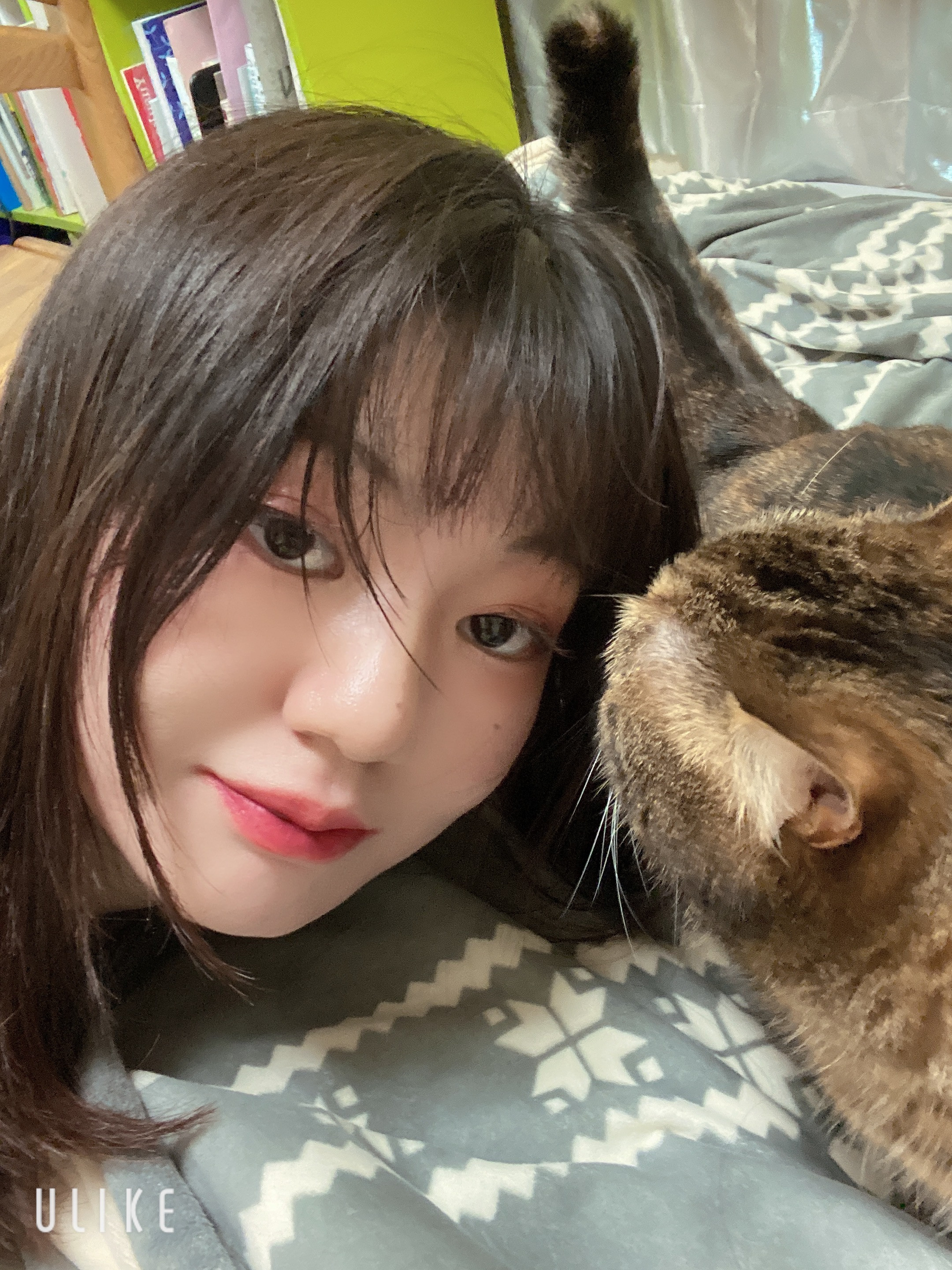 アイちゃんといっしょ〜〜