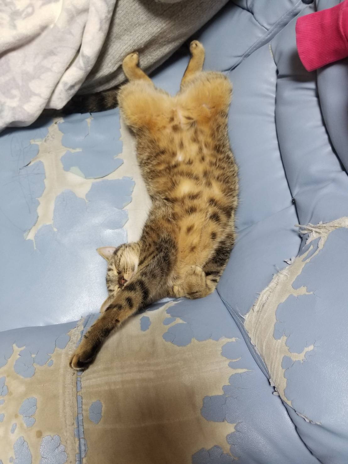 さくらです。お酒の前に浴衣を着ます！！！