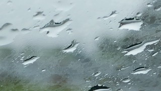 菖女ちゃんの2021/8/15 (日) 12:04のブログ