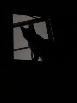 はるかちゃんの2021/8/3 (火) 21:53のブログ