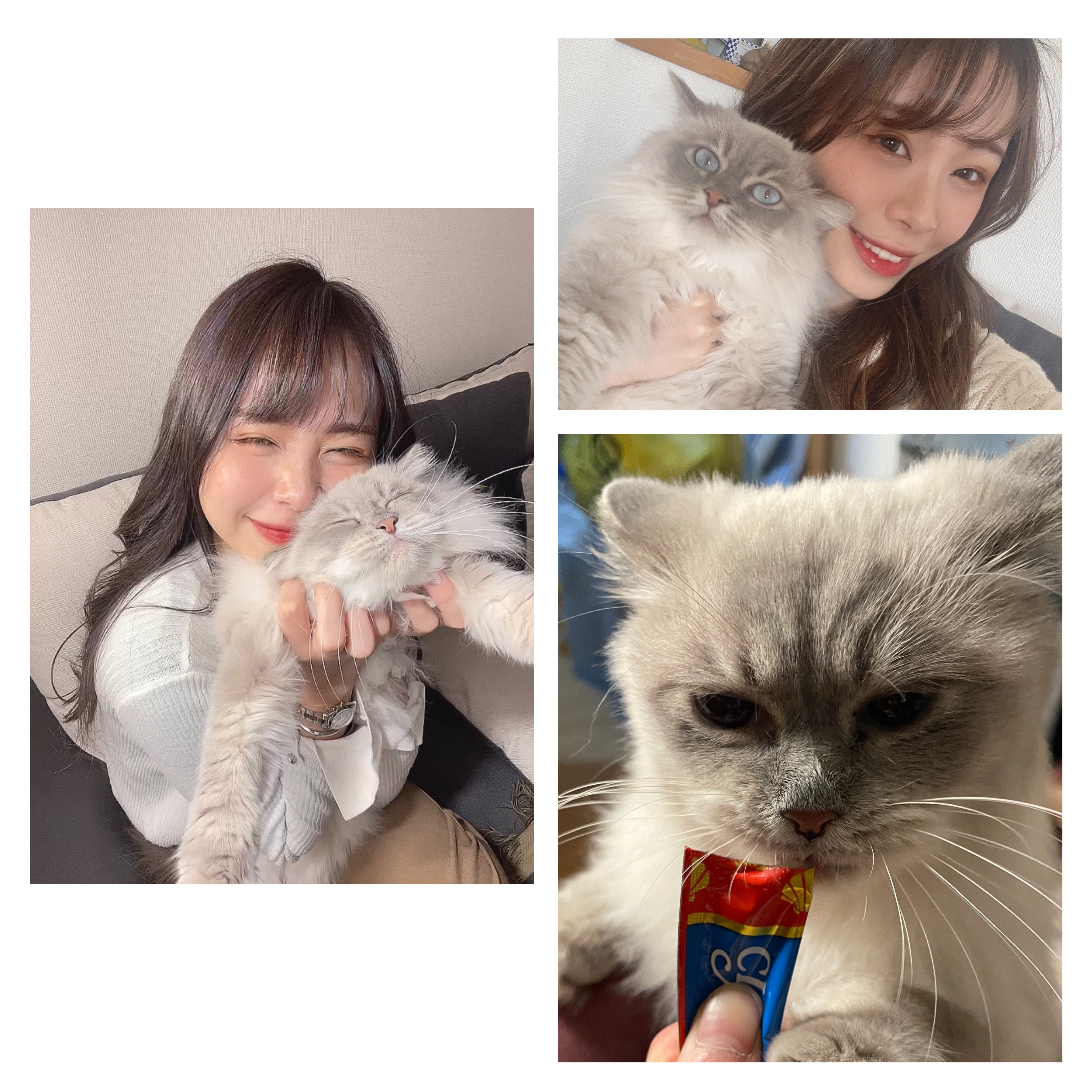 うちのにゃんこ??