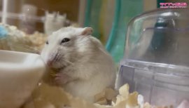 りんちゃんの2022/1/13 (木) 15:35のブログ