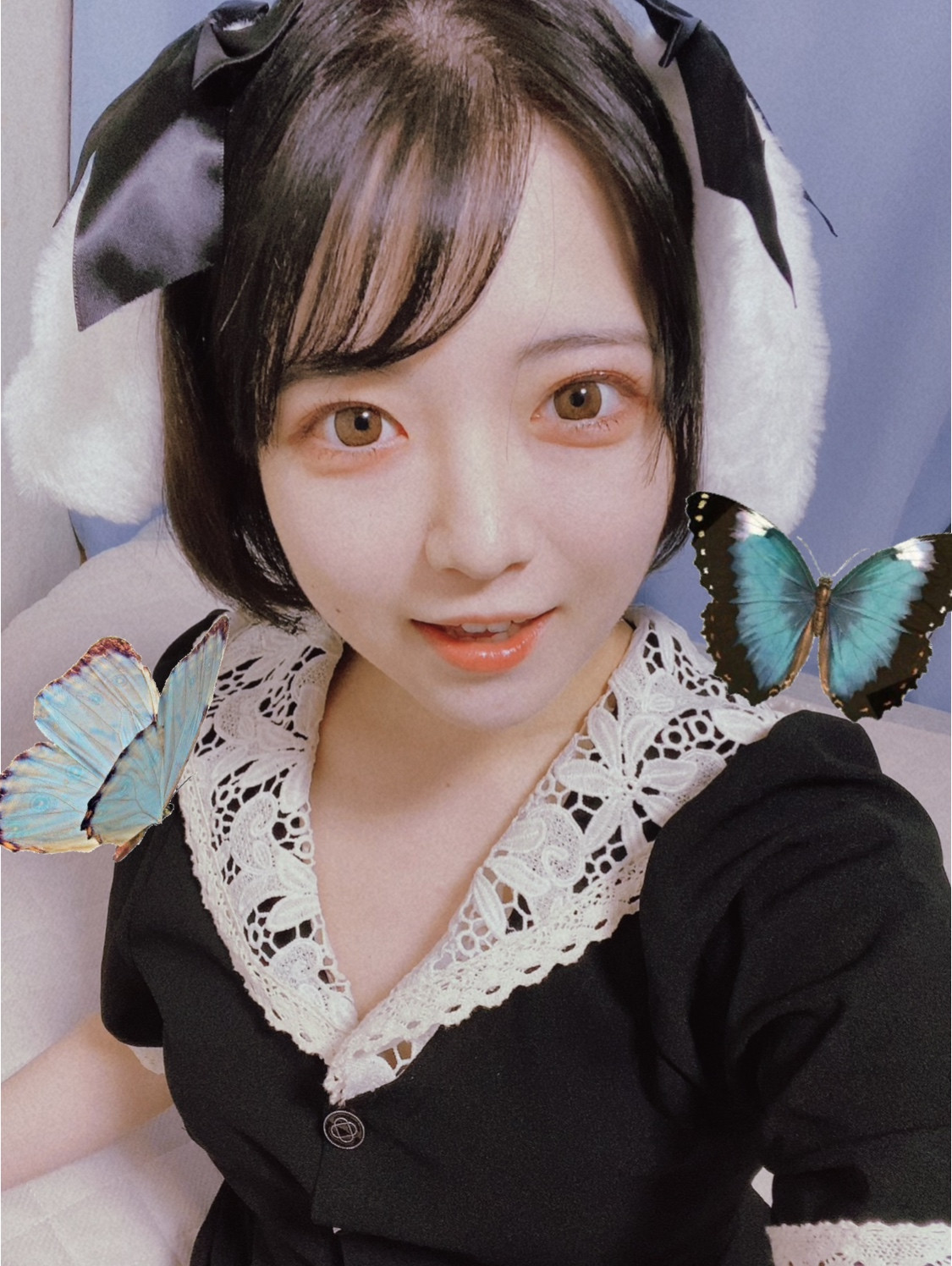 次回配信予定日