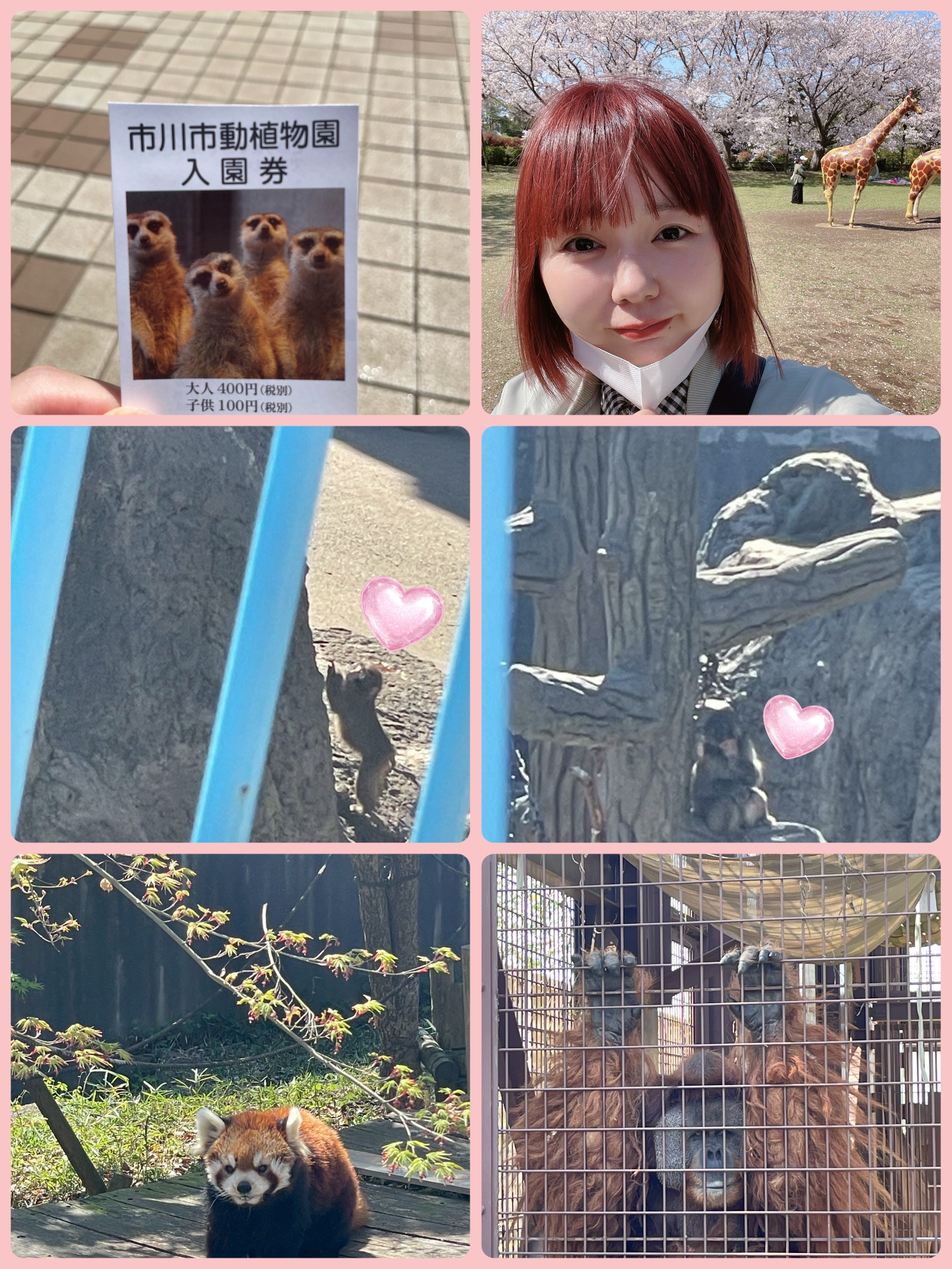 にゃーさんの休日