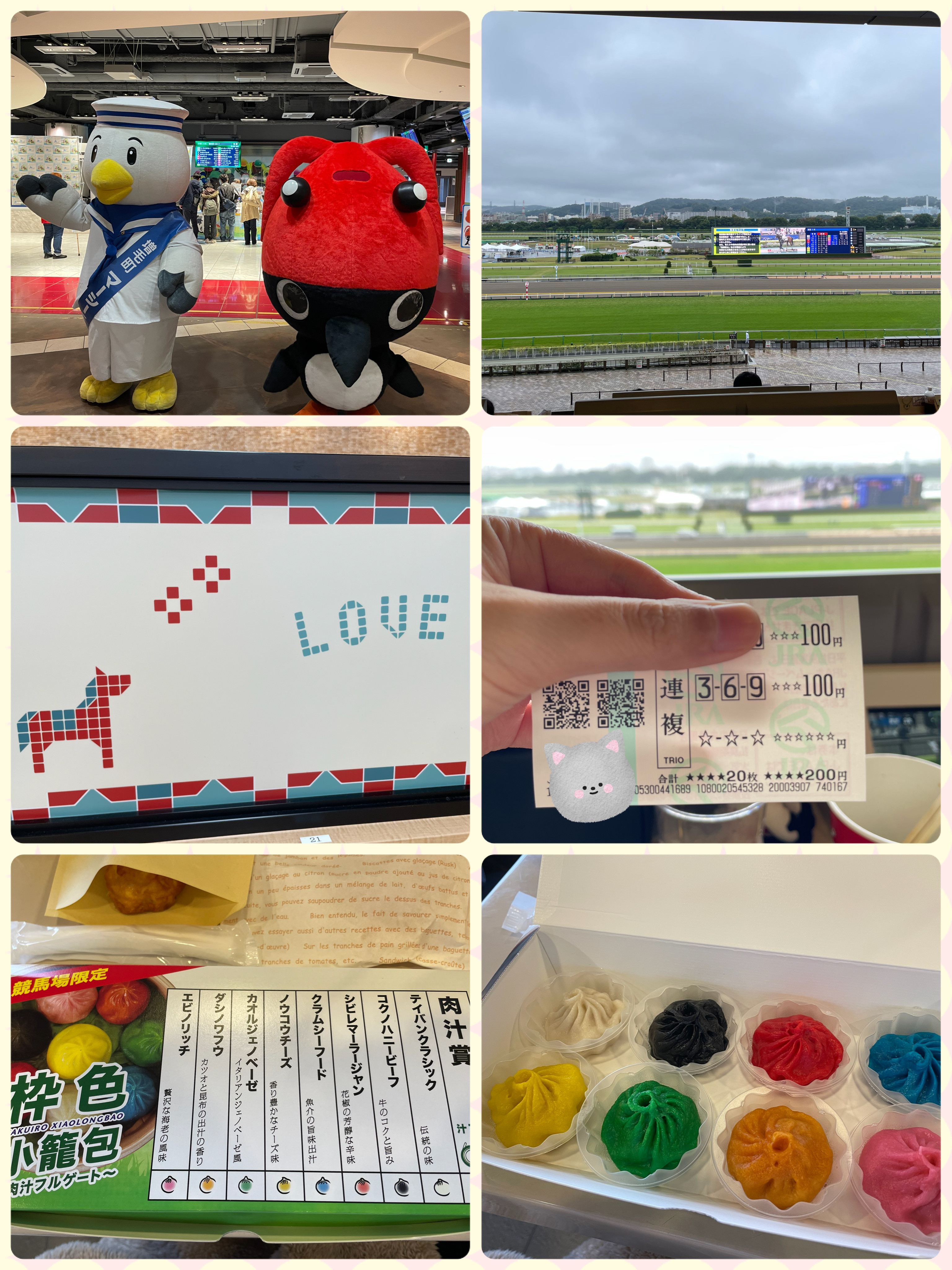 また競馬場に行きました報告と大事な告知