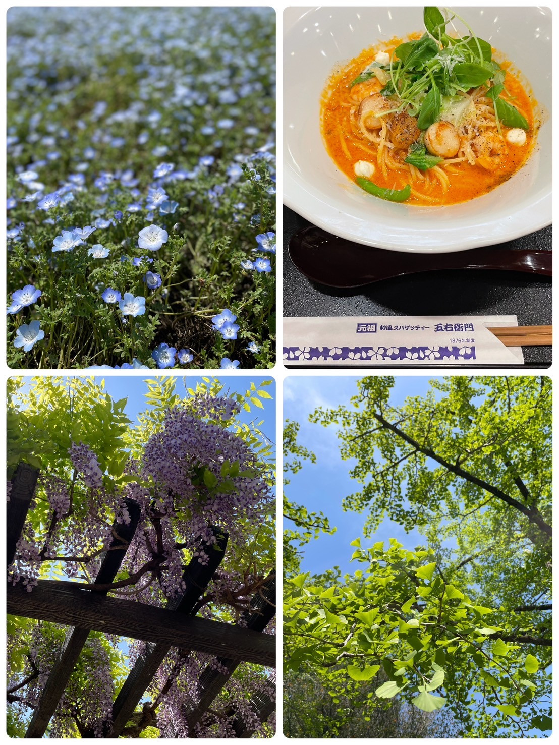 紛れ込む五右衛門w