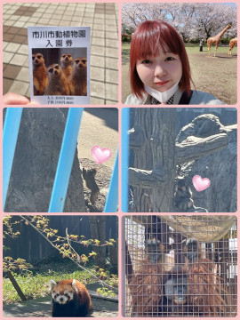 にゃーさんの休日