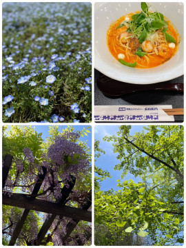 にゃーちゃんの4/30 (水) 07:56のブログ