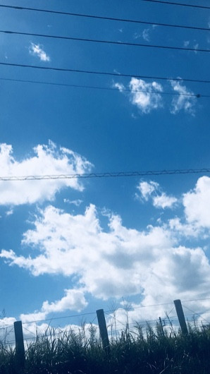 今日もいい天気♪